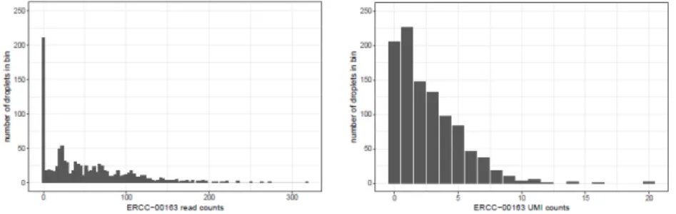 Figura 2.2: Distribuzione delle reads (sinitra) e dei conteggi UMI (destra) per il