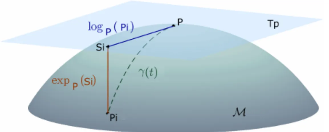 Figura 1.1: T p spazio tangente nella varietà M al punto P , S i vettore tangente a P i e Γ geodetica