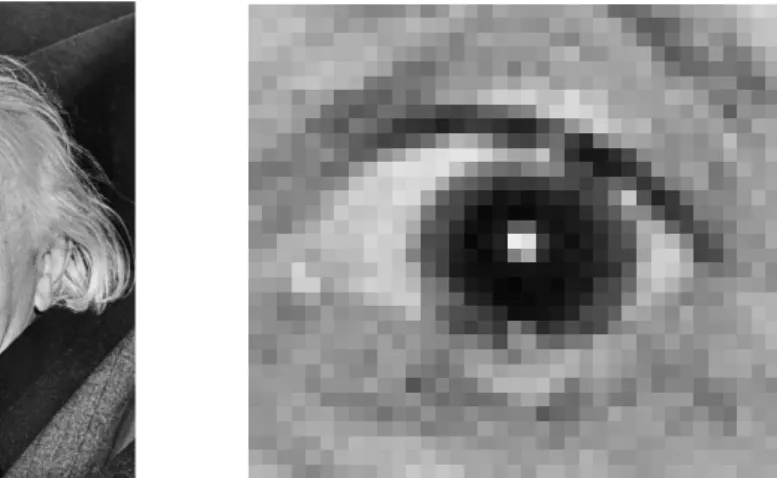Figura 1.1: Esempio di immagine digitale: Einstein (a sinistra) e zoom sull’occhio destro