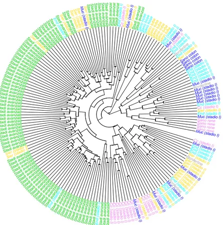 Figura 3.2: Cluster gerarchico su tutti i geni