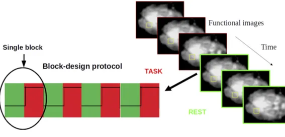 Figura 1.3: Acquisizione delle immagini durate la fase di task (rosso) e la fase di rest (verde).