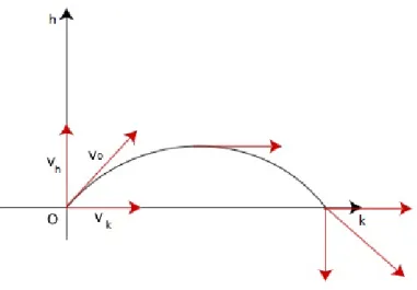 Figura 2.2: Rappresentazione grafica del moto parabolico.