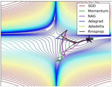 Figura 3.7: Performance degli algoritmi di ottimizzazione SGD sui livelli di una supercie di perdita