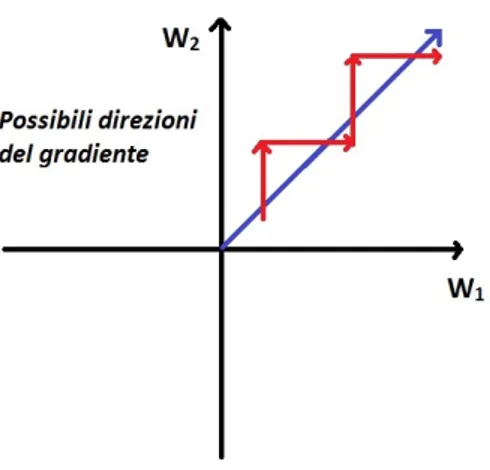 Figura 3.13: Esempio di dinamica a zig-zag nell'aggiornamento di due pesi W 1 e W 2 .