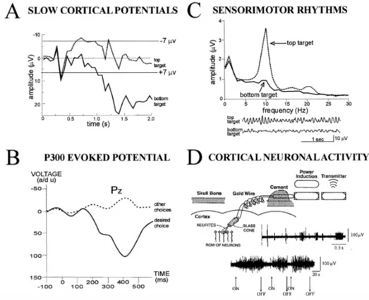 Figura 1.4: Tipi di Brain-Computer Interfaces. I pannelli A,B e C presentano metodi non invasivi, mentre il pannello D mostra un metodo di rilevazione dei segnali invasivo