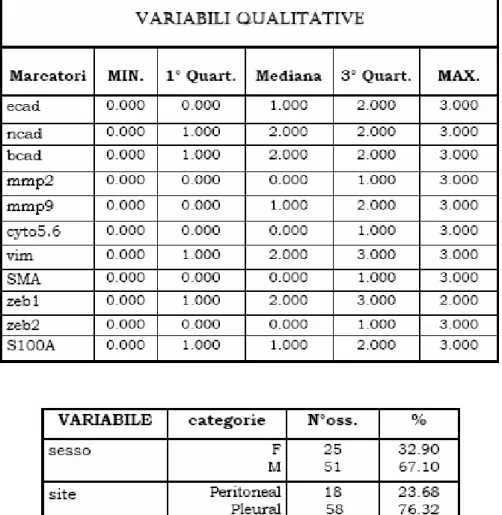 Tabella 2.2: Riepilogo delle variabili qualitative.