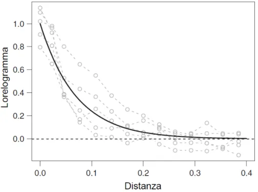 Figura 2.2: Lorelogramma spaziale empirico di cinque realizzazioni simulate da un lorelogramma spaziale con decadimento esponenziale della dipendenza