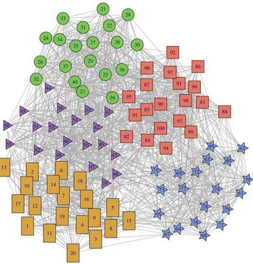 Figura 4.1: Rete generata nella simulazione: ad ogni forma di rete di secondo livello corrisponde un colore nella rete di primo livello