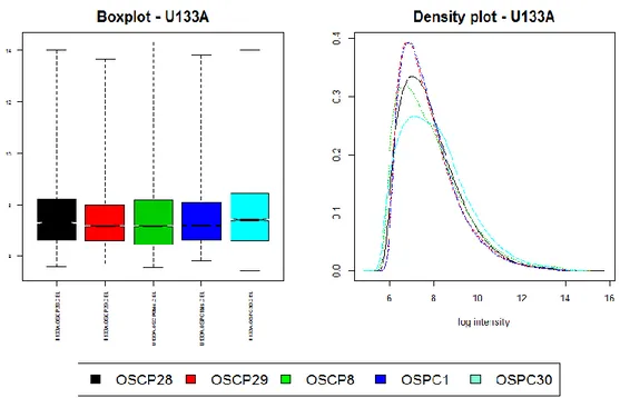 Figura 4.5: Boxplot e Density plot dei valori di espressione nei 5 esperimenti con piattaforma  U133A