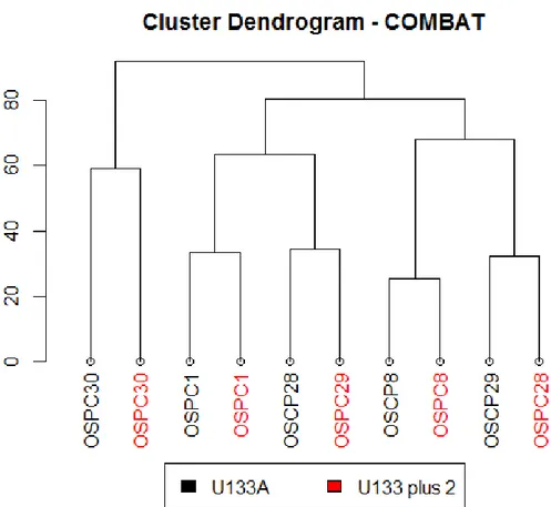 Figura  4.11:  Dendrogramma  di  una  cluster  analysis  svolta  sulla  matrice  dei  valori  di  espressione corretti con il metodo COMBAT parametrico