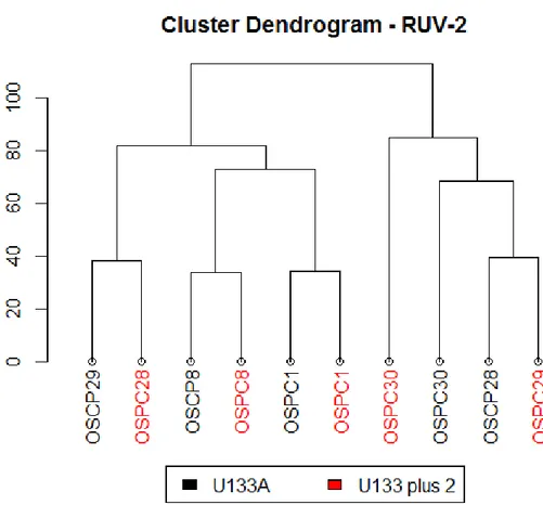 Figura  4.12:  Dendrogramma  di  una  cluster  analysis  svolta  sulla  matrice  dei  valori  di  espressione corretti con il metodo RUV-2