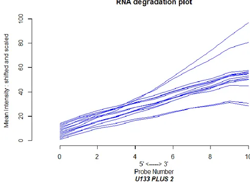 Figura 4.19: Grafico di degradazione dell'RNA per la piattaforma U133 plus 2. 
