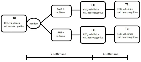 Figura 1.3: Schema di svolgimento di un braccio dello studio (De Zen, 2019).