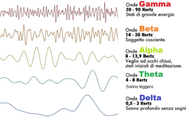 Figura 1.1: Campioni di onde cerebrali con frequenze dominanti appartenenti a bande beta, alfa, theta e delta e onde gamma.