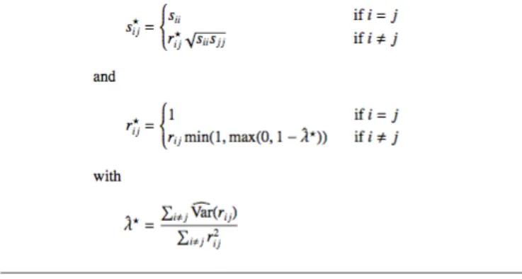 Figura 9: Formule per il calcolo dello stimatore S ∗ . I coefficienti s ij e r ij rappresentano