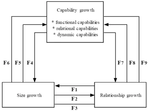 Figure 3. The final model of firm growth 