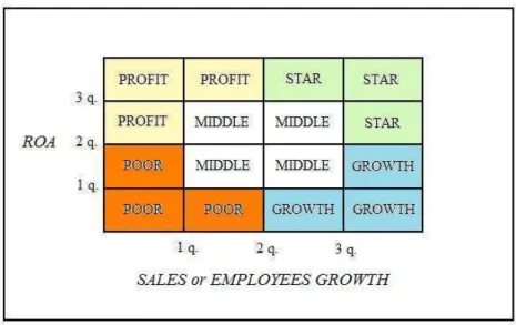 Figure 8. Davidsson’s categorization scheme of firms by growth and profitability 