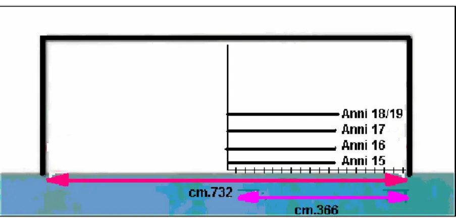 Tabella 1- spazio minimo e massimo espresso in cm 