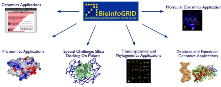 Fig. 1 - Attività di ricerca all’interno del progetto BioinfoGRID.