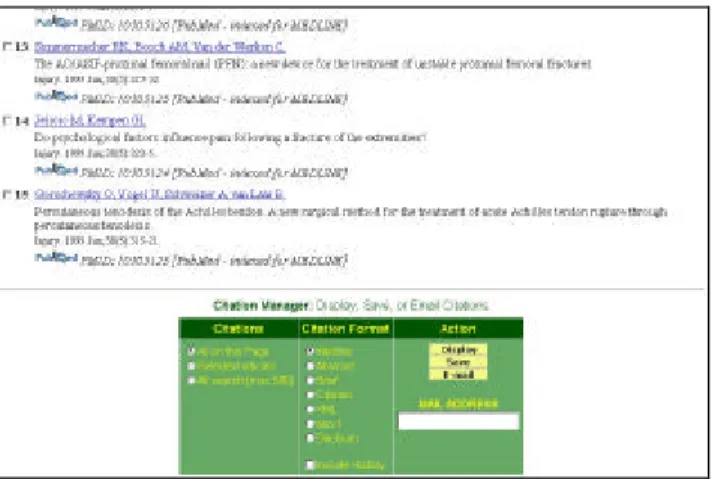 Figura 13 - MetaCrawler: Citation Manager It is possible: