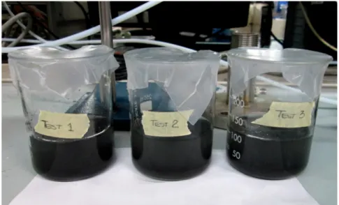 Figure 4. Water-Biochar solution specimens.
