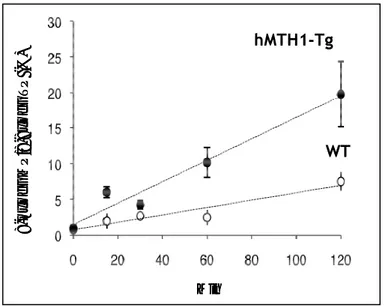 Figure 4: hMTH1 activity.  hMTH1 enzymatic activity in cell-free extracts from the 