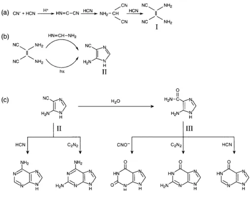 Figure 1.7.   Steps in possible prebiotic synthesis of adenine from HCN  (Orgel 2004).