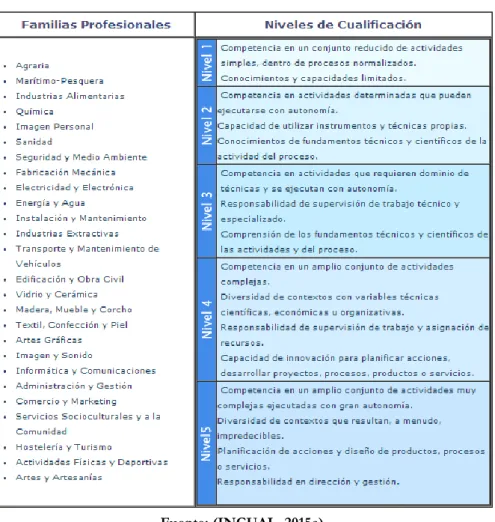 Cuadro 10: Familias profesionales y niveles y cualificaciones profesionales en  España