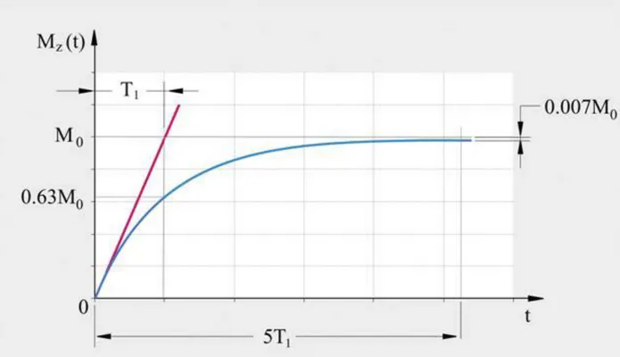 Figura 1.8.Grafico dell’andamento temporale di M z  e definizione della costante di tempo T1