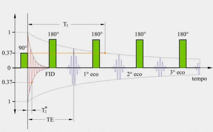 Figura 1.12. Rappresentazione schematica di una sequenza spin eco con una sequenza d’impulsi