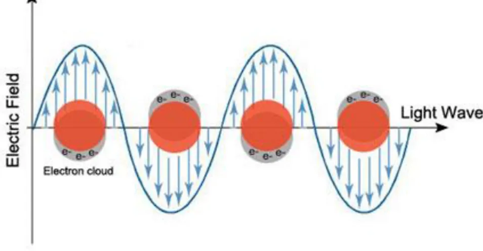 Figura 1.1: Oscillazione delle cariche libere presenti nel metallo in seguito all’illuminazione del campo  elettromagnetico [9]