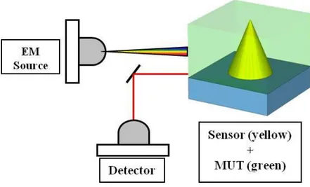 Figura 1.6: Piattaforma di sensing [14]. 