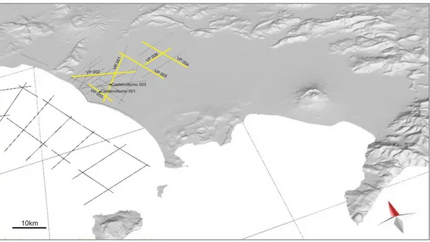 Figure 2: Location of the onshore interpreted seismic grid (19 seismic sections) and of the two deep wells  used for the calibration  (Castelvolturno 001 and 003)