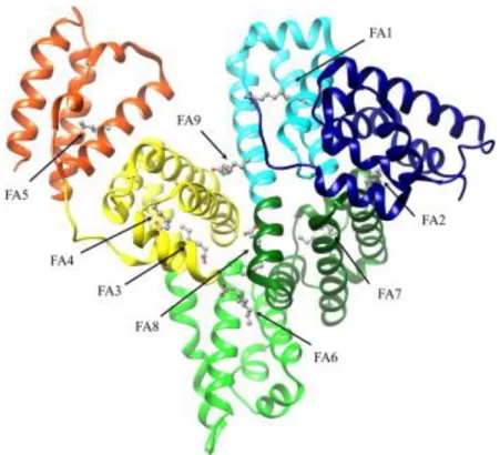 Figure 4.1: Ribbon representation of the three-dimensional structure of HSA. The subdomains of HSA are  rendered with different colors (domain IA, in blue; domain IB, in cyan; domain IIA, in dark green; domain IIB, in  light green; domain IIIA, in yellow; 