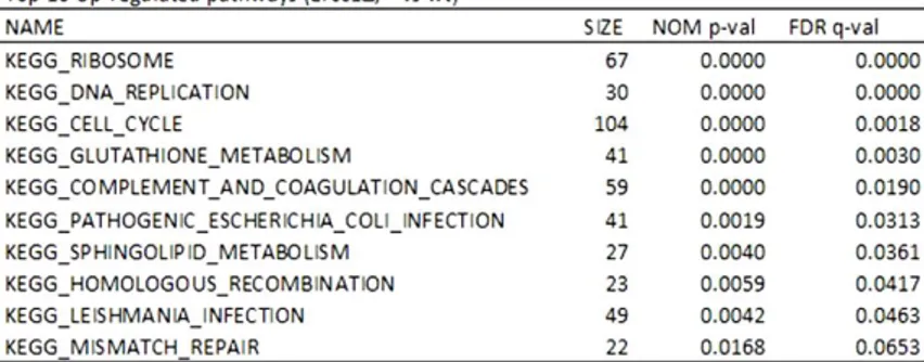 Table  4.1.  List  of  pathways  up-regulated  and  down-regulated  in  Ercc1 Δ/-   compared  with WT mice as were calculated in GSEA