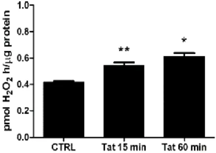Fig 8: Effects of Tat on spermine oxidase activity. SH-SY5Y cells were treated with Tat (200 ng/ml) for 15  and 60 min