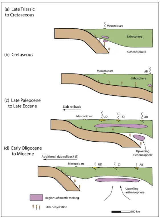 Figure 9.  Summary  of  the  development  of  the  Iranian  Eocene  flare-up  and  subsequent  asthenosphere-derived Oligocene magmatism in stages (a)-(d), modified from Verdel et al., (2011)