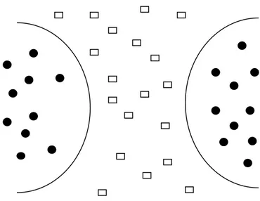 Figure 4-4 Non-linear support vector machine