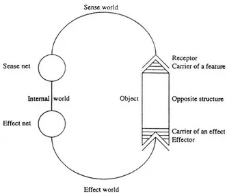 Figura 2 - Circolo funzionale di percezione-azione che produce la umwelt.  Illustrazione tratta da Ambienti animali e ambienti umani, p