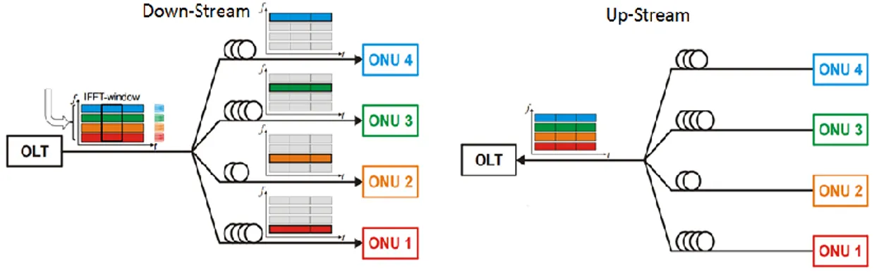 Figure 2-6: Down-stream and up-stream scenario for PON based on OFDM [1]. 