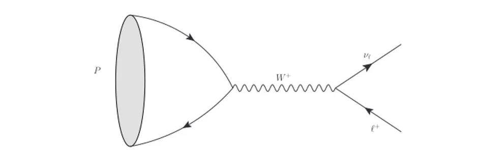 Figure 1.3: An example of a typical leptonic decay P → ` + ν ` in the Standard