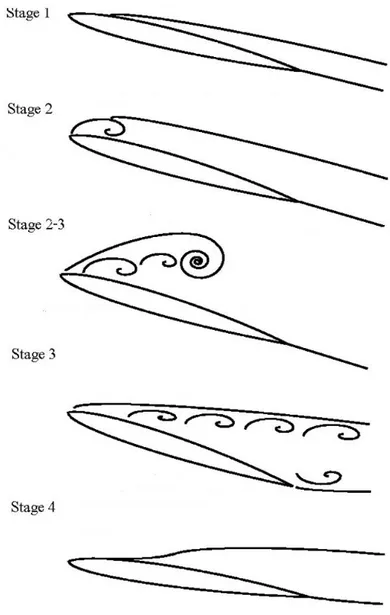 Figure 3.8: Flow morphology during the dynamic stall process on an oscillating 2-D airfoil