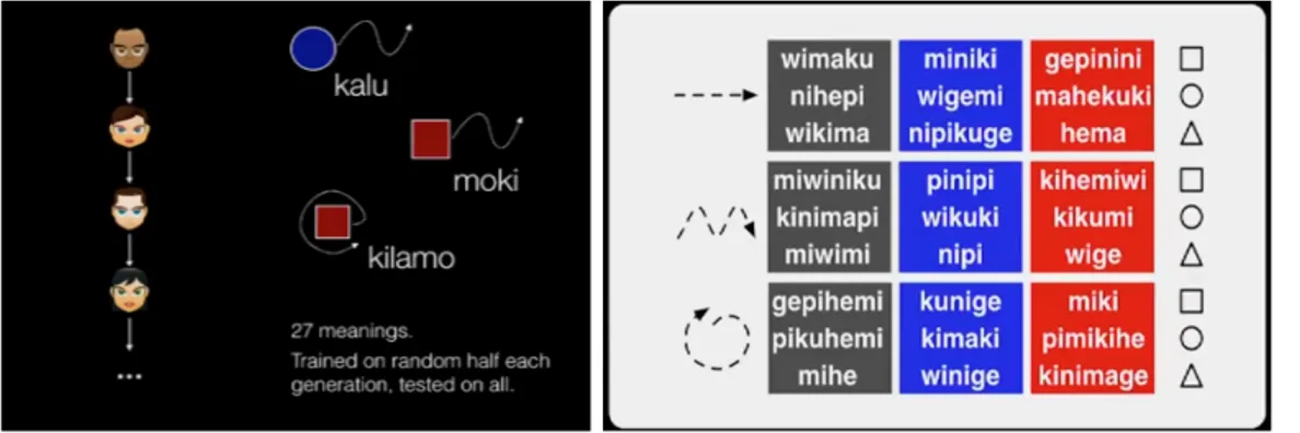 Fig. 3.1. La catena di partecipanti e il mini-linguaggio artificiale (Kirby, et al.,2008) 