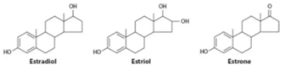Figure  1.  Chemical  structures  of  estrogens.  17β-Estradiol,  Estriol  and 