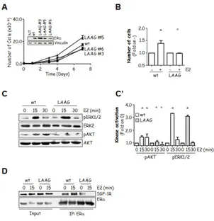Figure 10. The role of ERα-UBS on E2-induced cell proliferation. (A) 