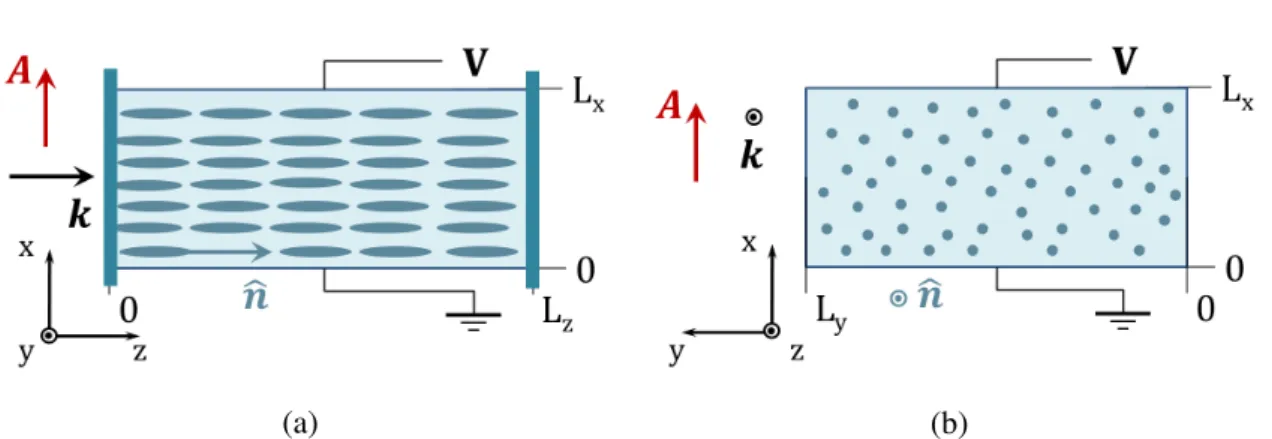 Fig. 2.1 Sketch of the sample in the unperturbed state. (a) Side view of xz plane and (b) cross section in xy at a given propagation distance z