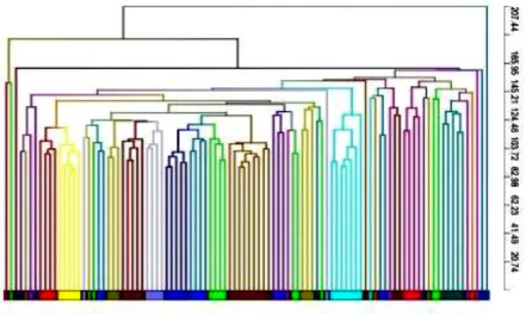 Figure 4.4 Unsupervised cluster of gene expression data. DC products (n=99) were  analyzed  by  gene  expression  profiling  using  Agilent  microarrays