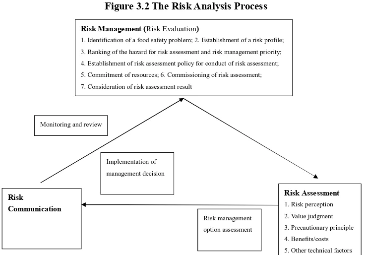 Figure 3.2 The Risk Analysis Process