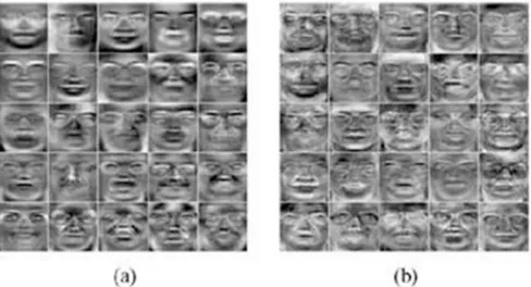 Figure 13 - Holistic basis images from a) Principal Component Analysis b) Linear Discriminant Analysis 