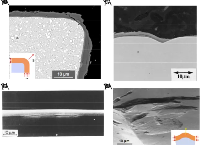 Fig.   2.6  High  in-plane  stress  in combination  with  unfavorable  geometry:  (a)  A  partially  detached  TiAlN  coating  at  edge  of  cutting  tool [18],  (b)  Cross-section  indicating  the  initiation  of  fracture at 